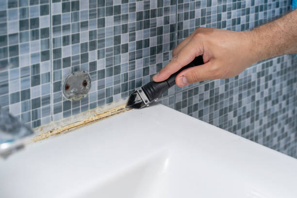 Best Mold Testing and Inspection Services in Watertown, NY